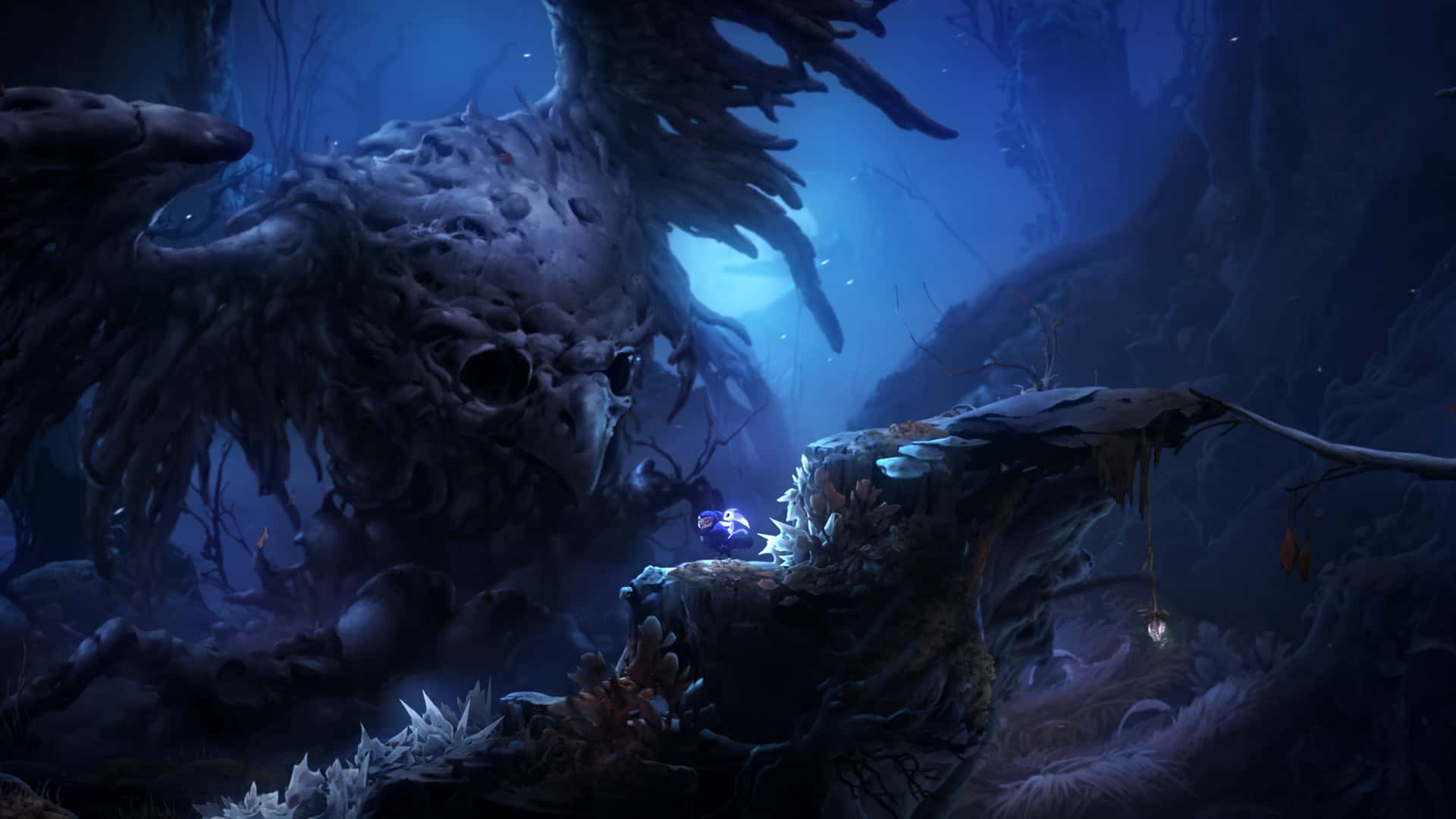 奥日与鬼火意志 精灵与萤火意志 Ori and the Will of the Wisps B.5780606 中文版